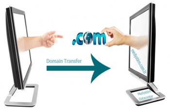 Domain Transfer İşlemleri