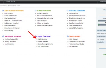 Mx ayarları düzenleme Directadmin Panel