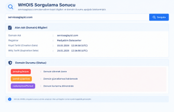 Domain Durum Kodları Nelerdir Domain Durum Kodları Nelerdir